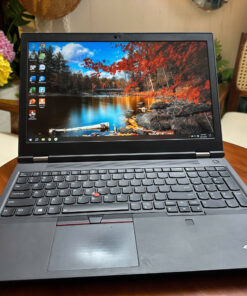 Lenovo ThinkPad P15 Gen1 i9-10885H - RAM 32G - SSD NVME 1TB- VGA RỜI RTX 4000 8GB